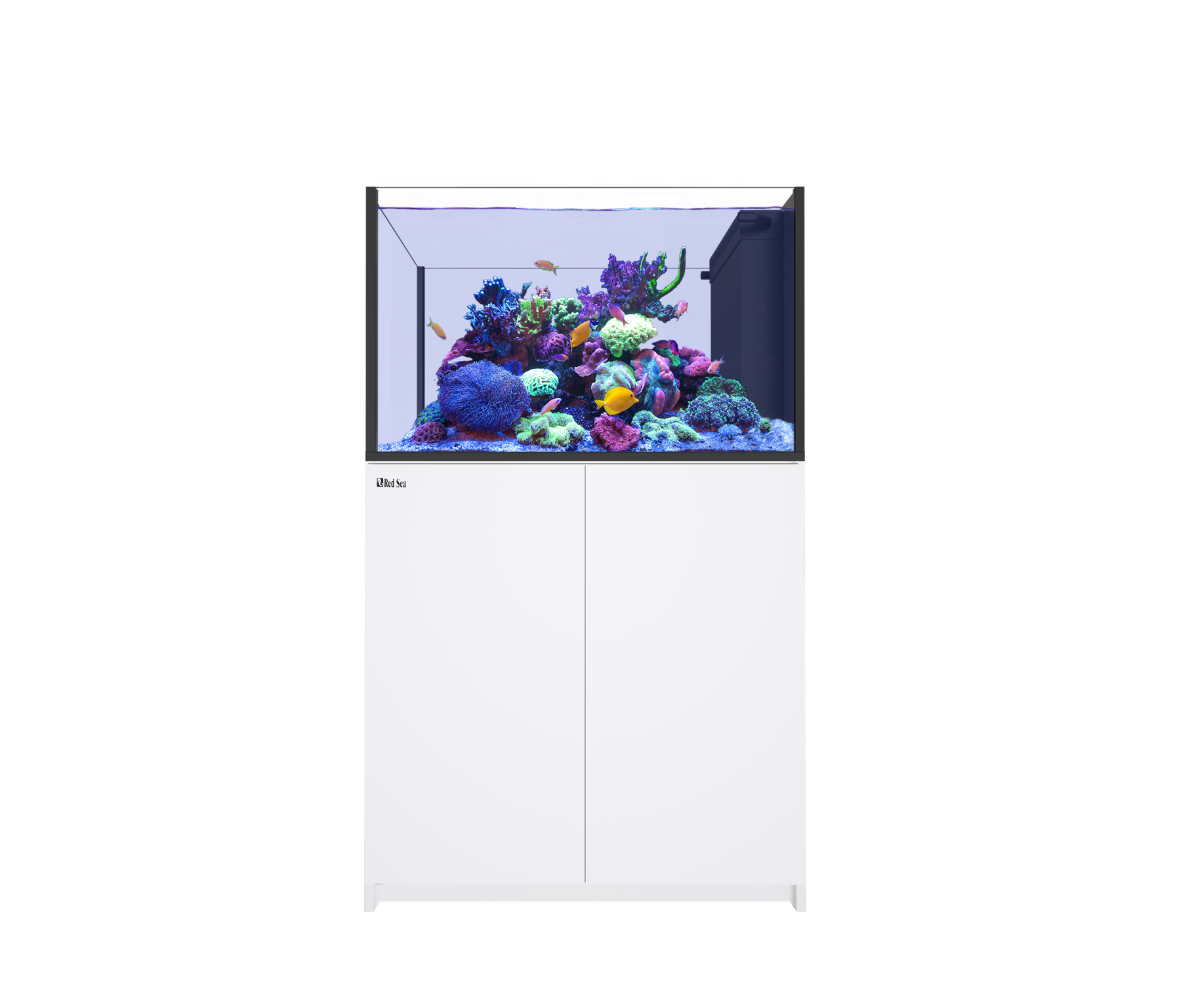 RED SEA REEFER Peninsula G3+ 350 Neu