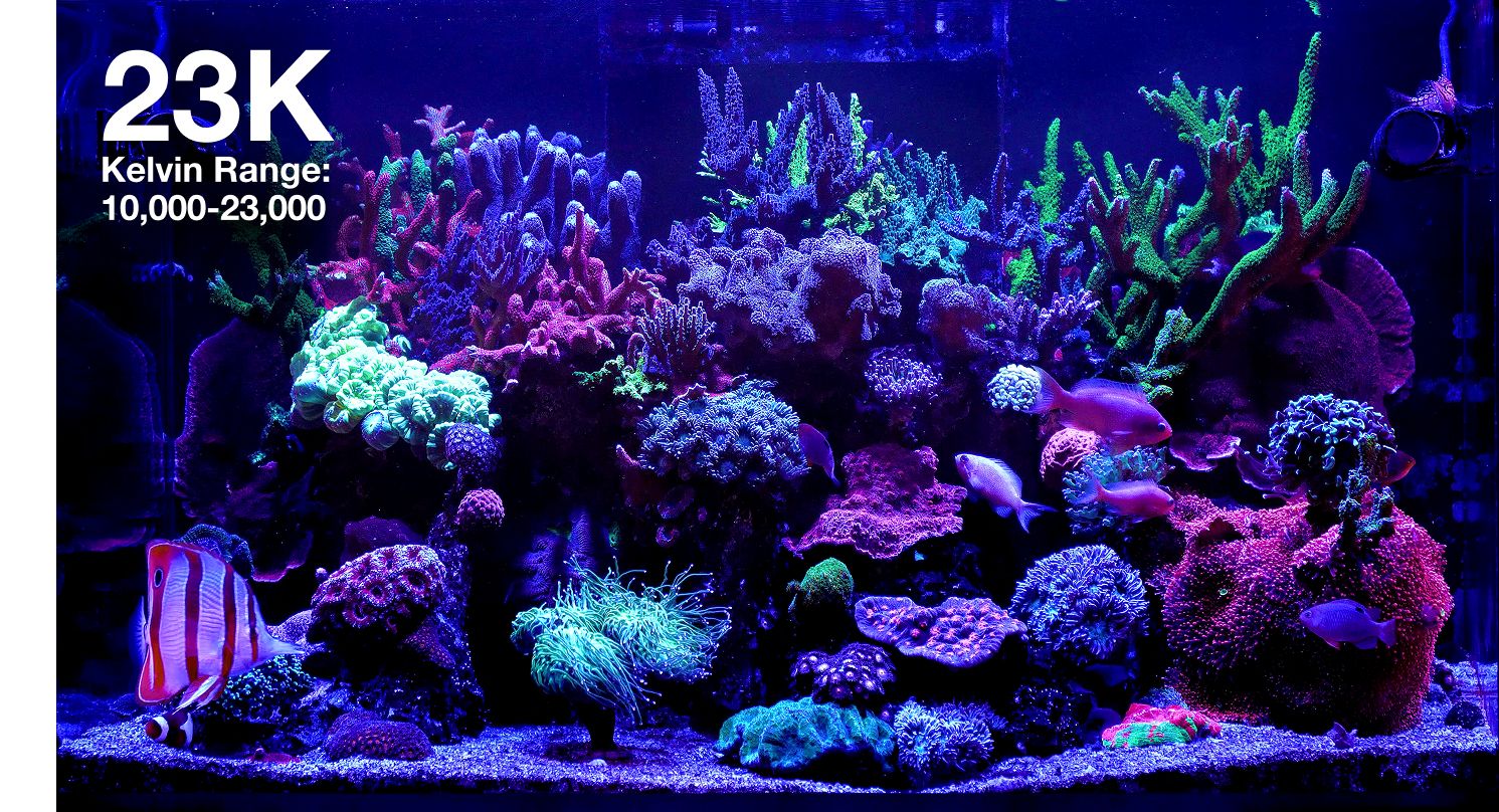 Reef LED 115 G2 Red Sea