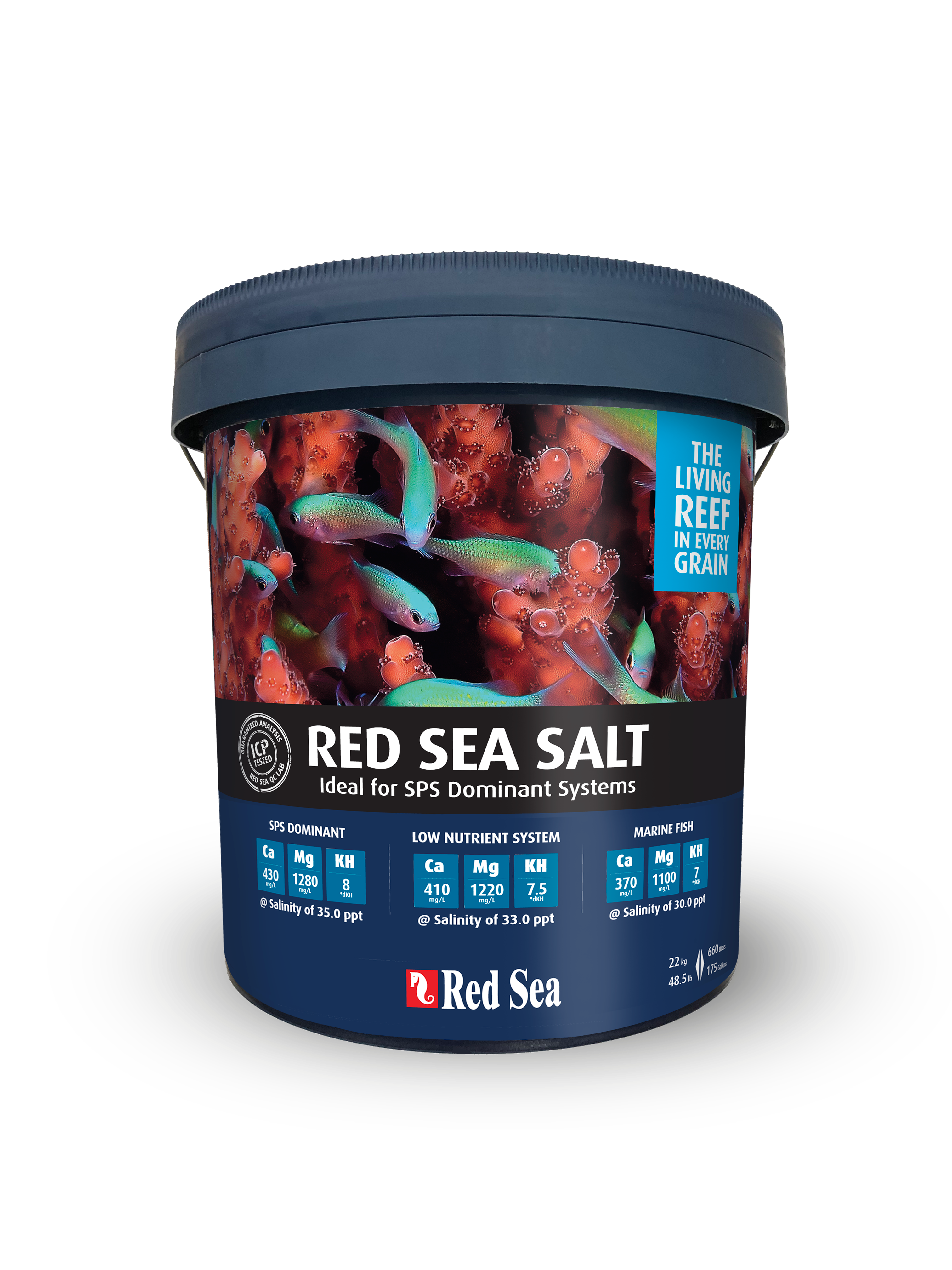 Red Sea Meersalz Eimer 22kg 