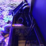Reef-Pro  1800  - Aquariumsystem Platinium OAK 