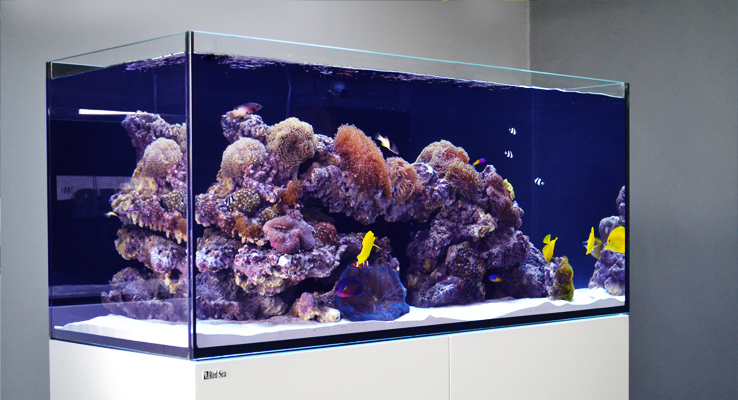 RED SEA REEFER Aquarium 170 G3+ Max