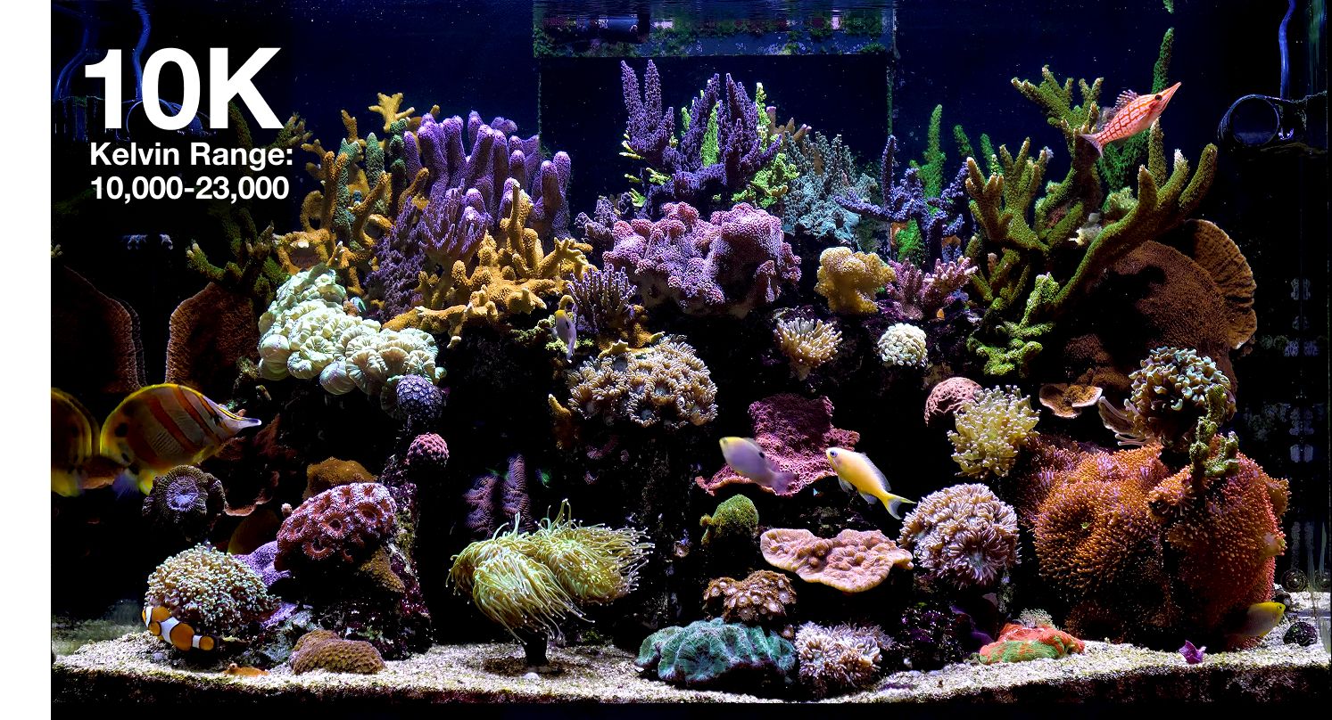 Reef LED 115 G2 Red Sea