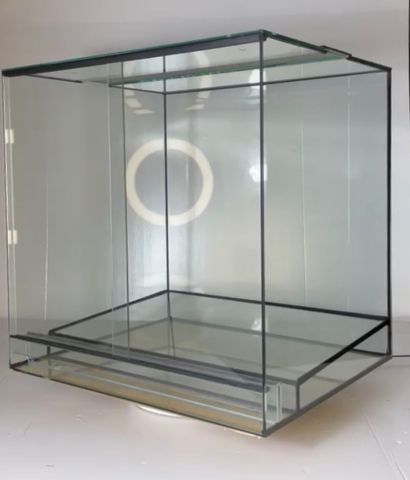 Terrarium L30xT25xH25 Glas incl. Edelstahlgaze