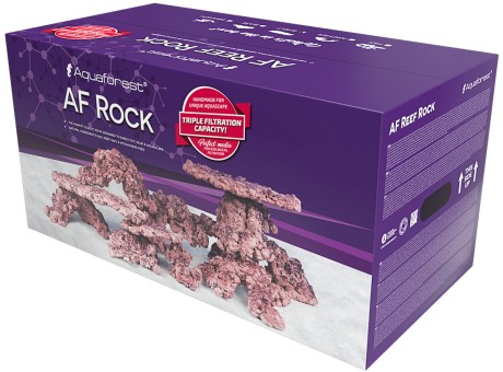 Aqua Forest Rock Arch
