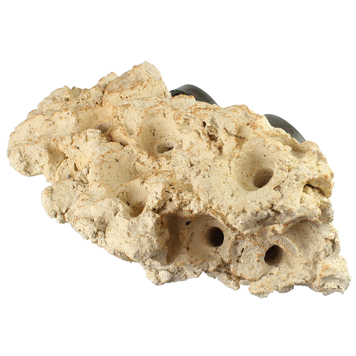 Coral Rack long - Tunze - Keramikstein mit Magnethalter