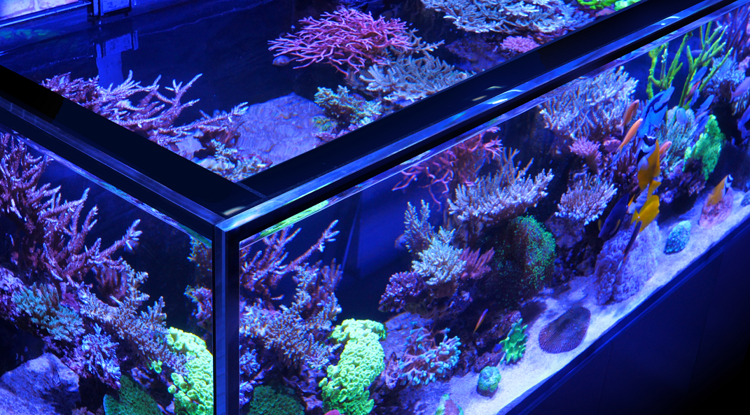 Red Sea REEFER-S 1000 G3+ Aquarium Neu 