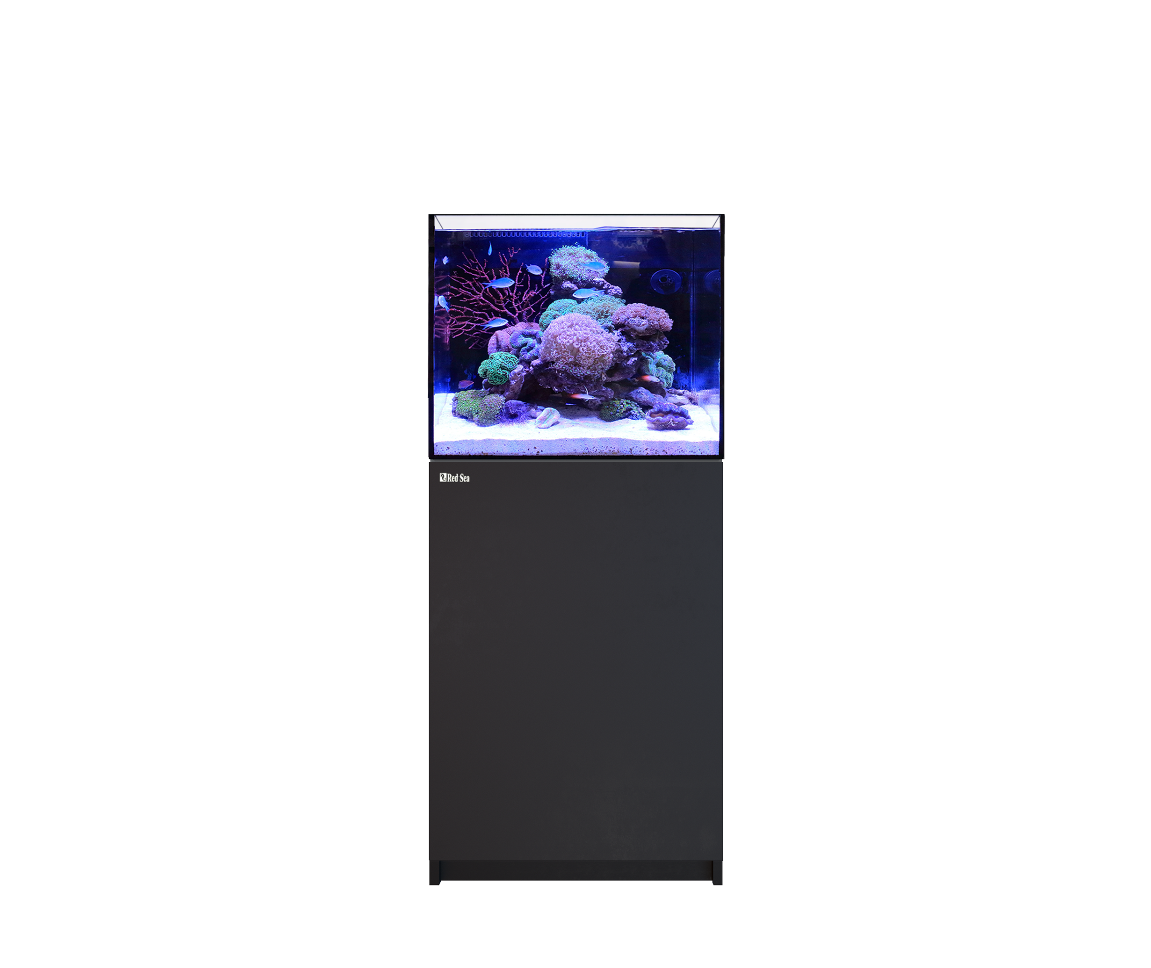 RED SEA REEF- FRAME Aquarium 170 G3