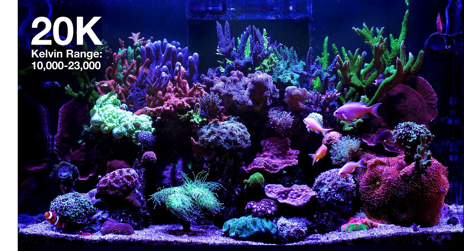 Reef LED 115 G2 Red Sea