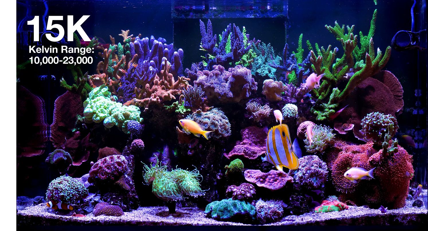 Reef LED 115 G2 Red Sea