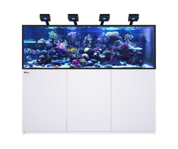 RED SEA REEFER Aquarium 750 G3 Deluxe mit 4x RL 115 LED