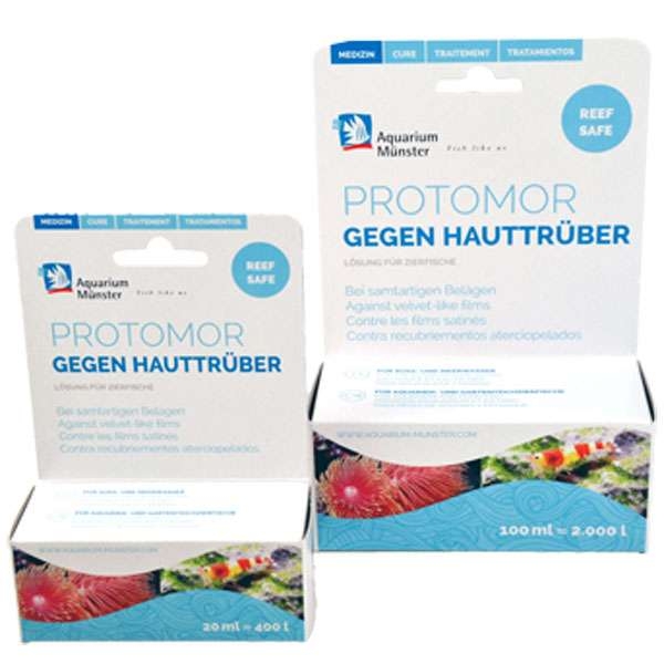 Protomor  - Aquarium Münster