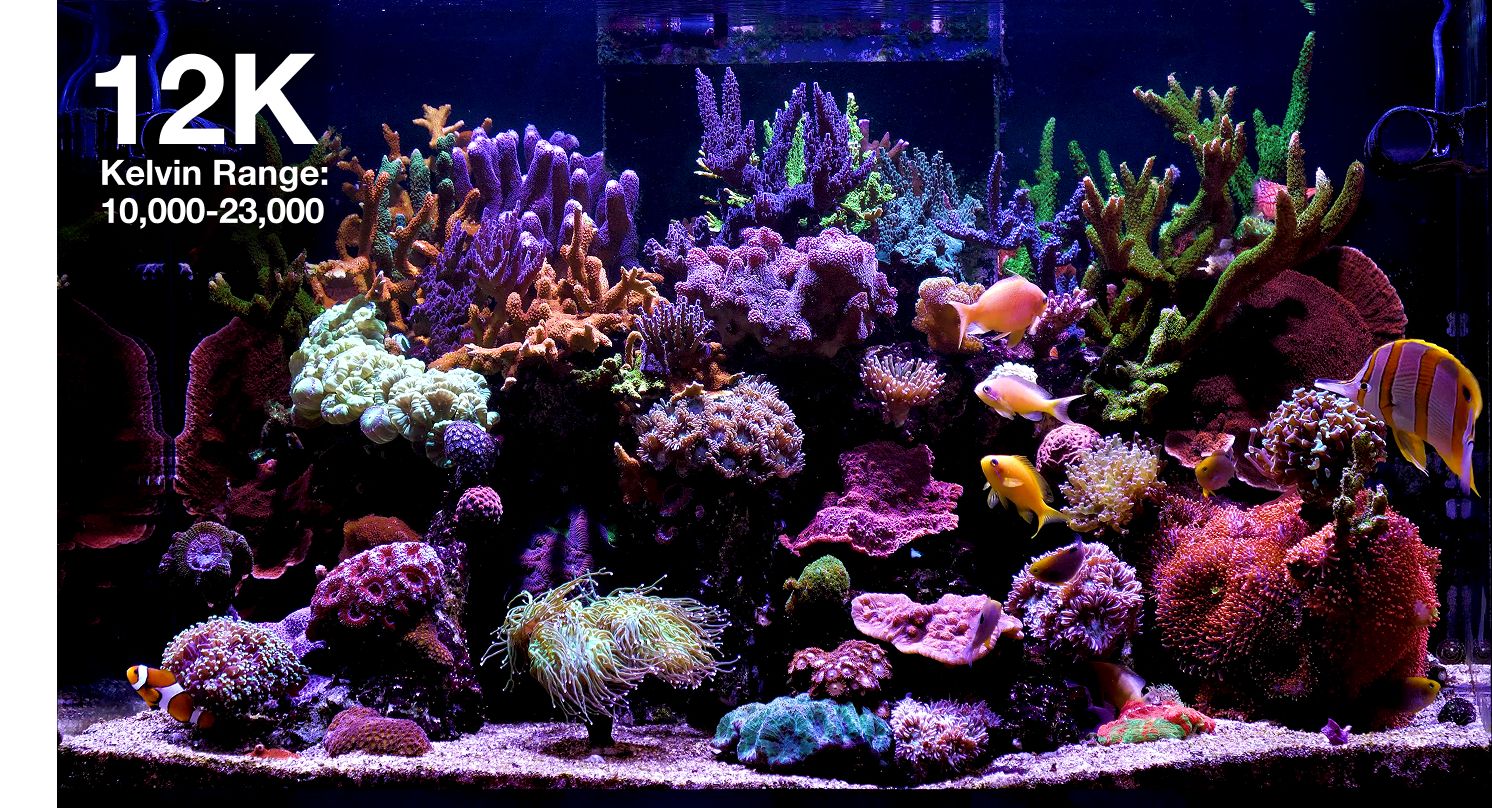 Reef LED 115 G2 Red Sea