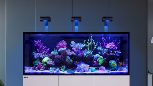 RED SEA Reefer Aquarium 350 G3 Deluxe 