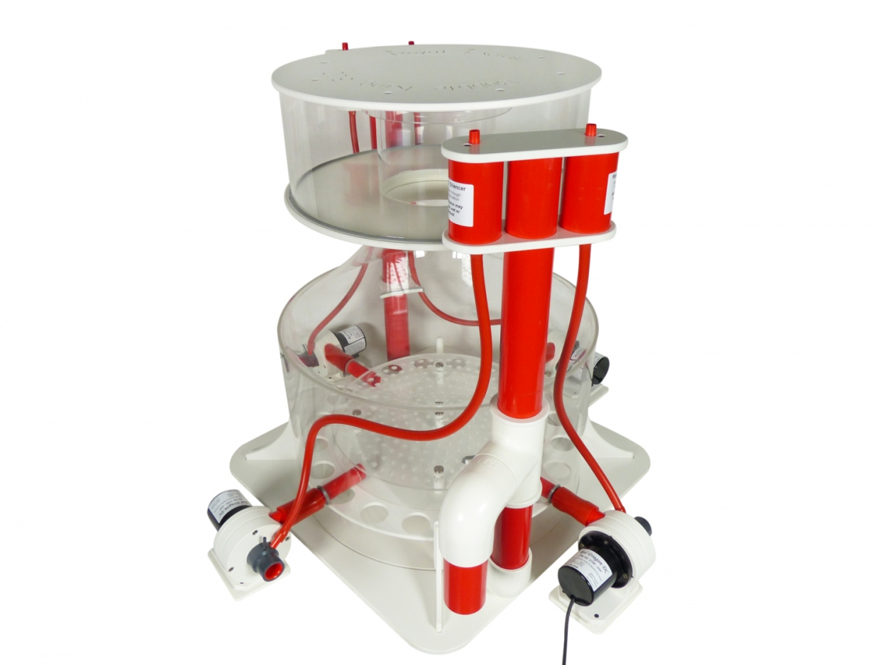 Bubble King® DeLuxe 610/650 intern / modifiziert DC