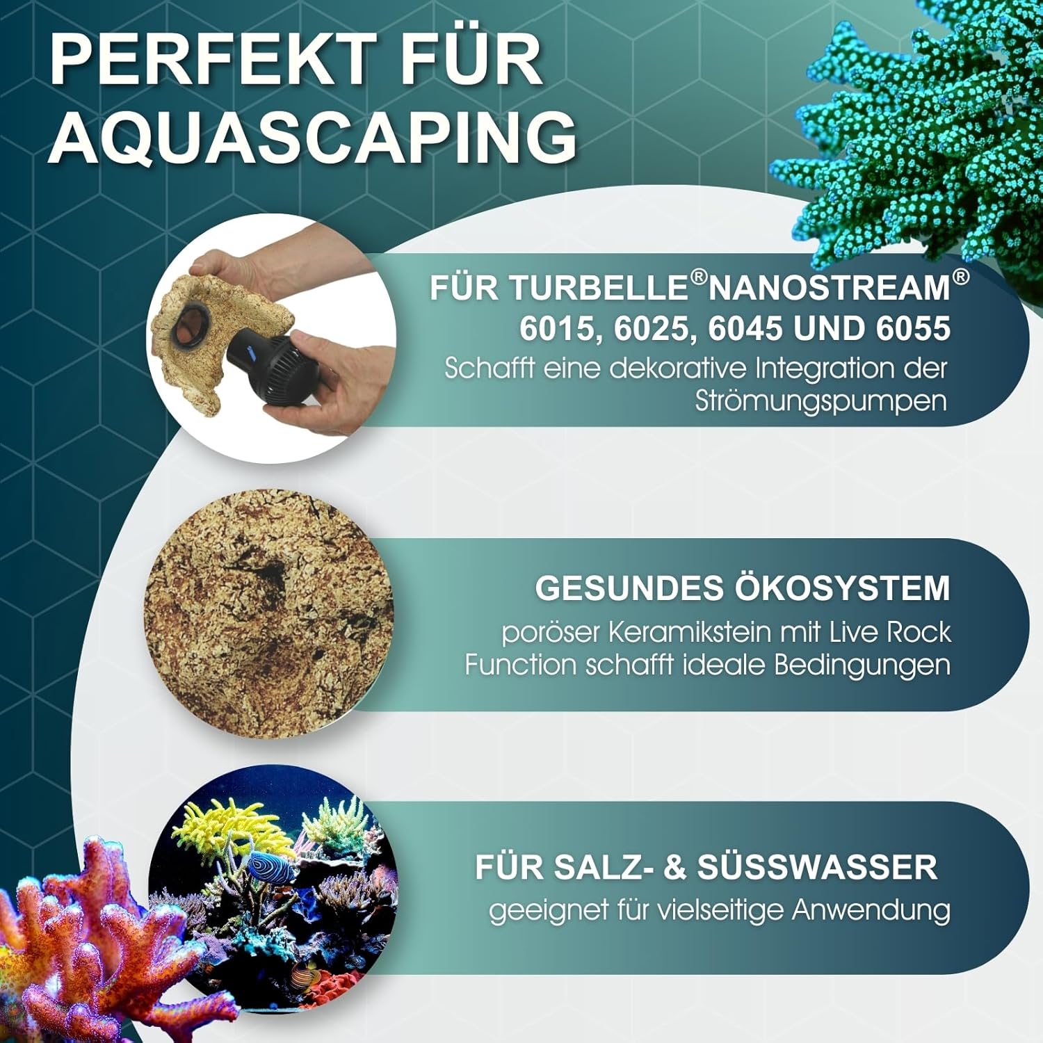 Rock Für Turbelle nanostream