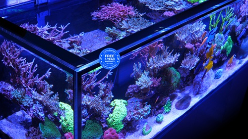 RED SEA Reefer Aquarium 350 G3 Deluxe 