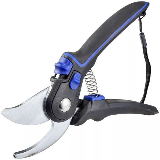 Korallenschneider Maxspect