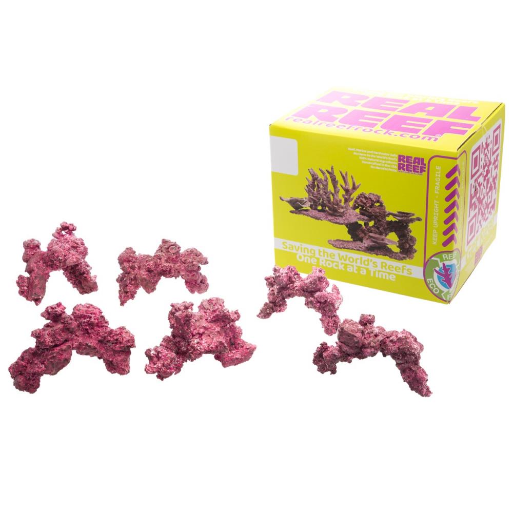 Real Reef Rock - Arches