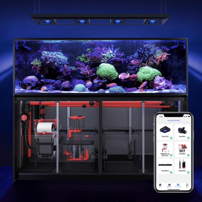 Red Sea REEFER Max Peninsula  500 G3+ Neu