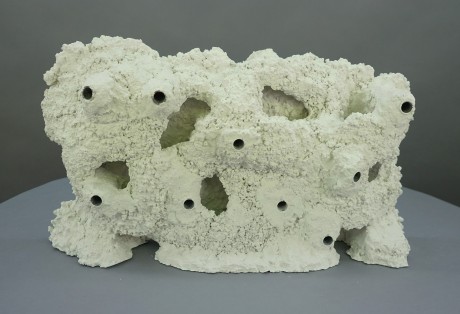 Octopus Rückwand 