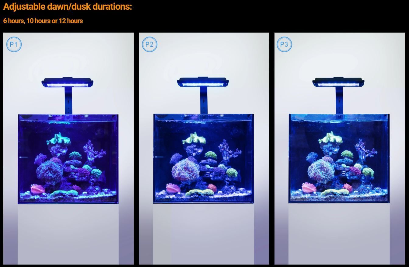 Maxspect Jump MJ-L230 LED Refugium