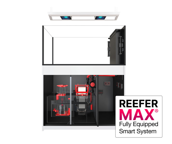 Red Sea REEFER Max Peninsula  500 G3+ Neu