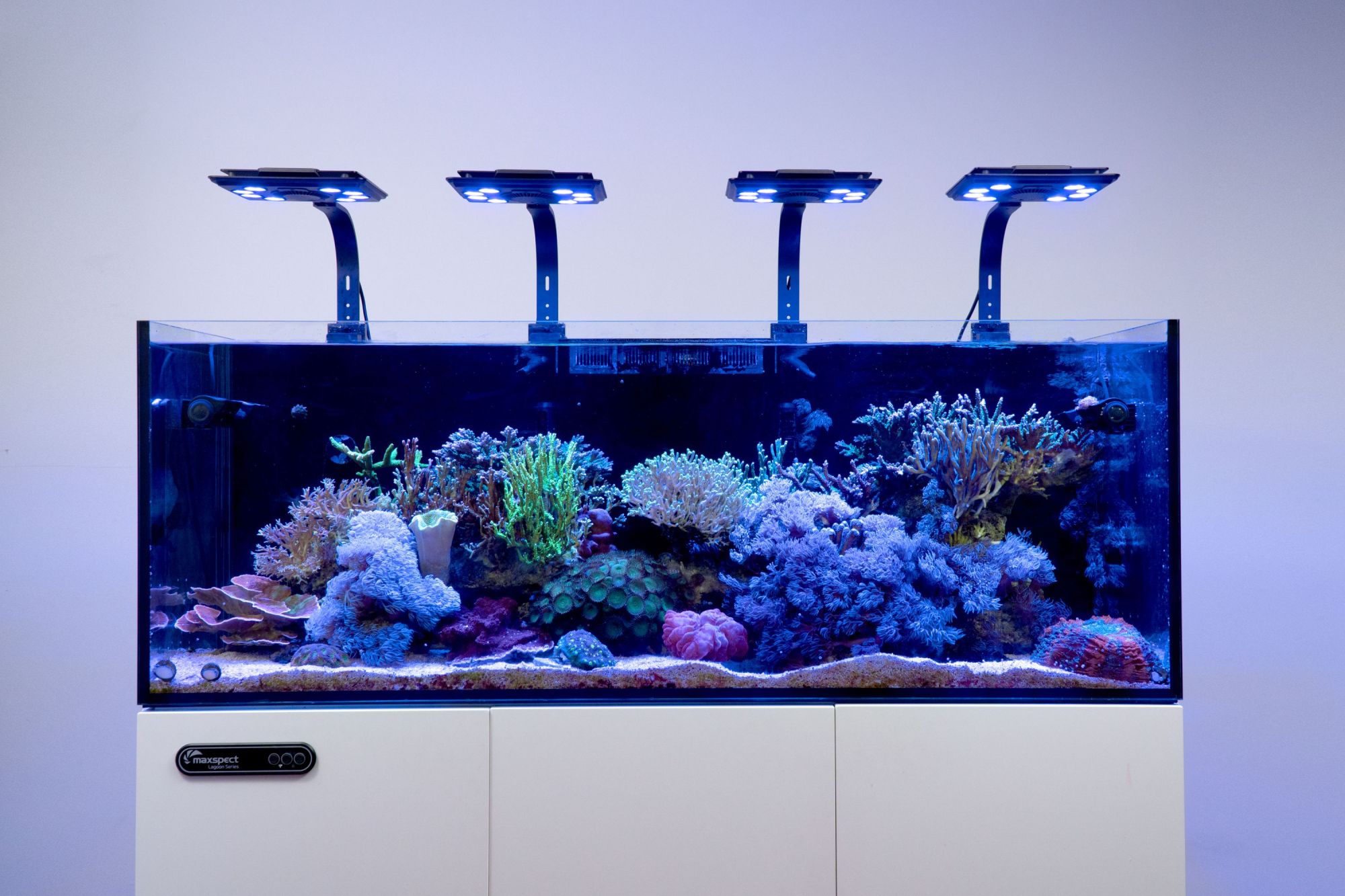 Maxspect Jump MJ-L290 Blue LED 