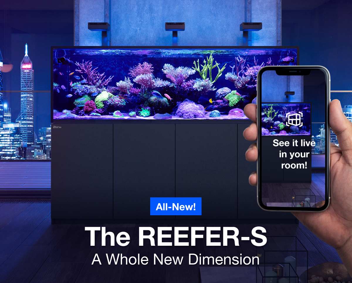 Red Sea REEFER-S 700 G3+ Aquarium Neu 