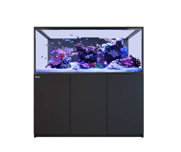 Red Sea REEFER-S 700 G3+ Aquarium Neu 