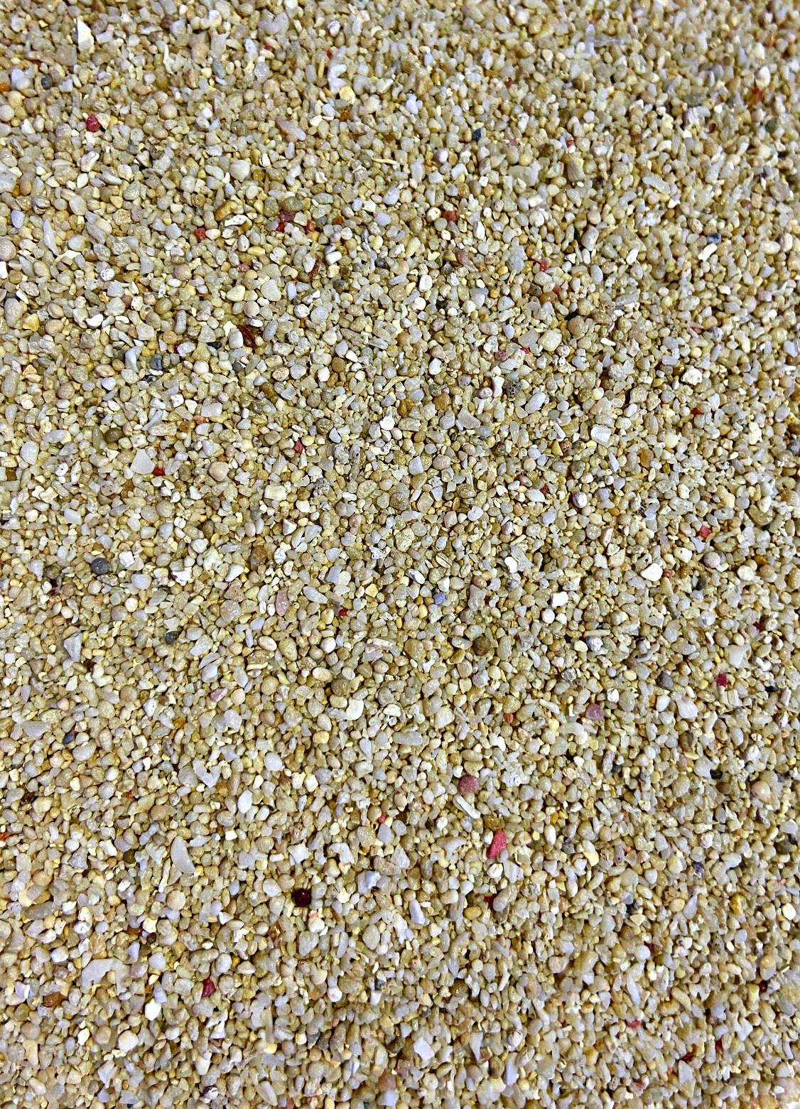 Korallensand 5kg 0,5-1mm