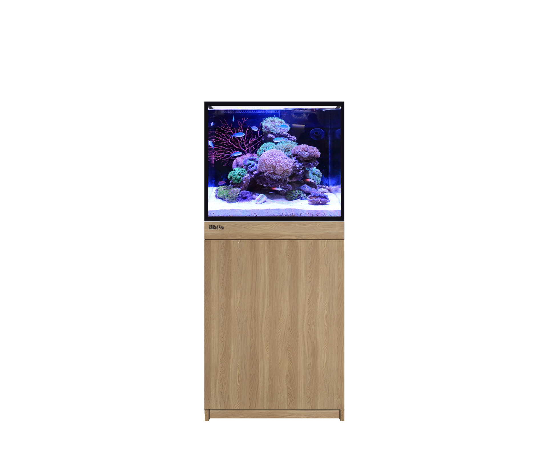 RED SEA REEF- FRAME Aquarium 170 G3 Eiche 