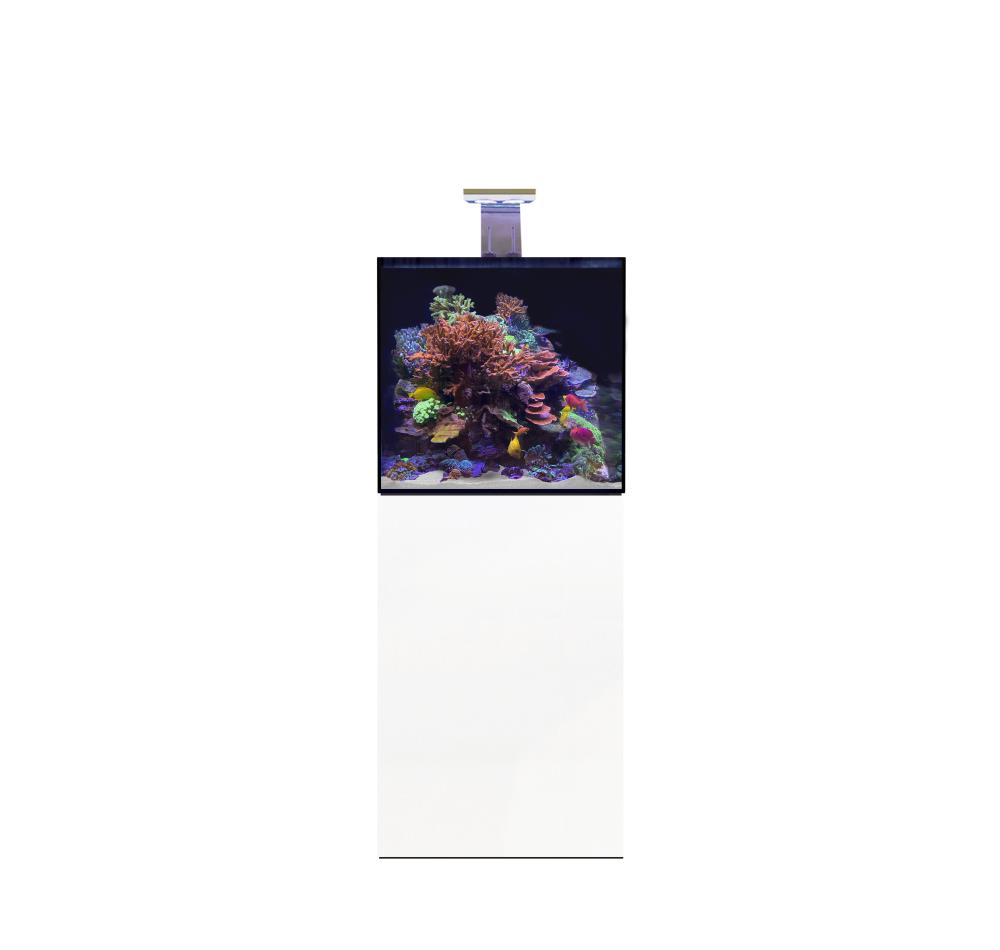 Reef-Pro Reef Wood 600 - Aquariumsystem 