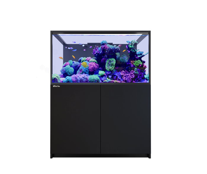 Red Sea REEFER-S 550 G3+ Aquarium Neu 