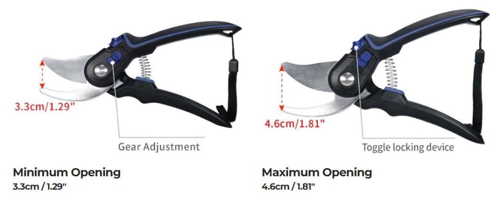 Korallenschneider Maxspect