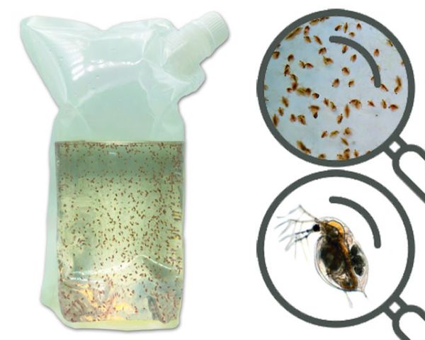 Zooplankton-Mix