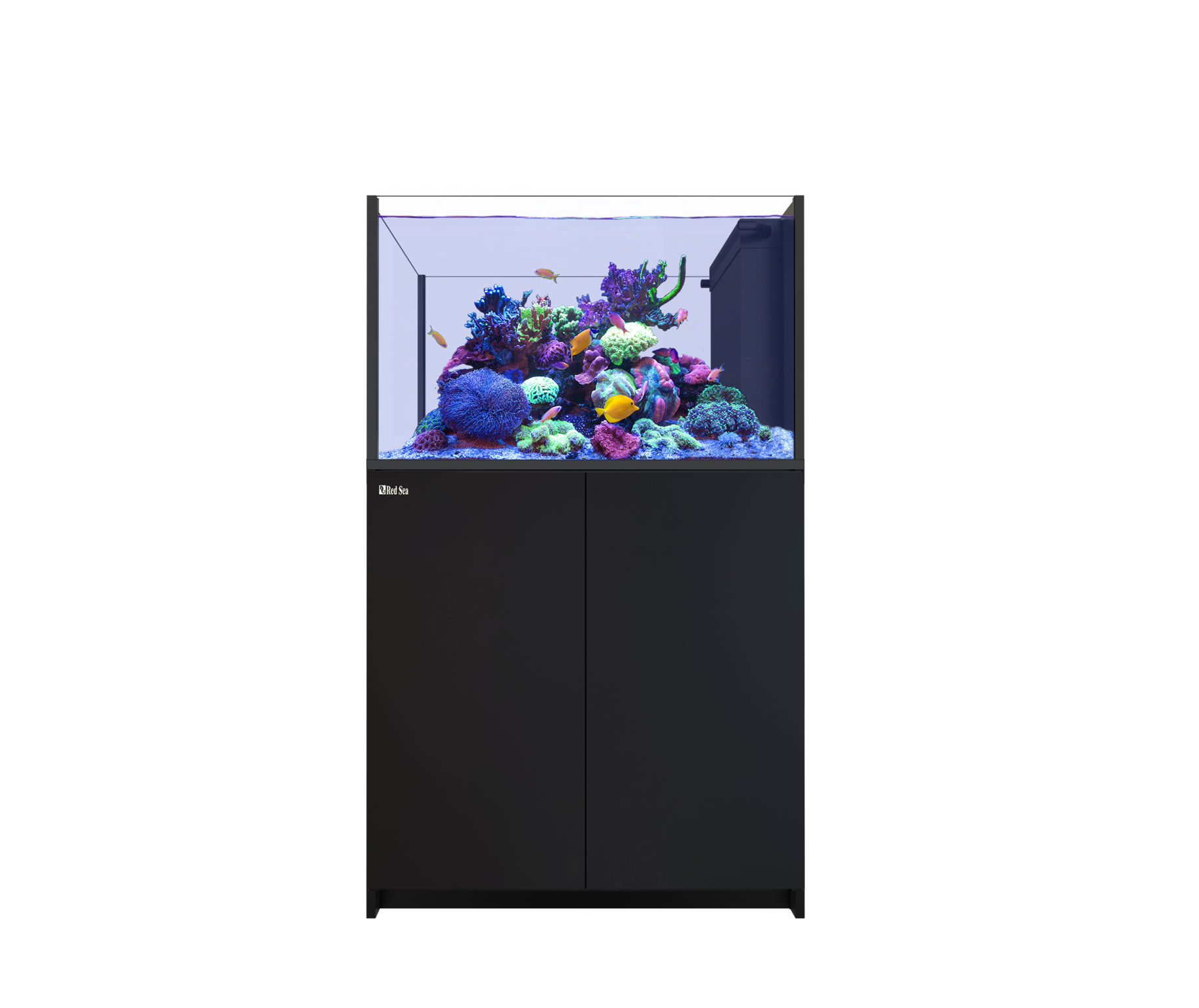 RED SEA REEFER Peninsula G3+ 350 Neu