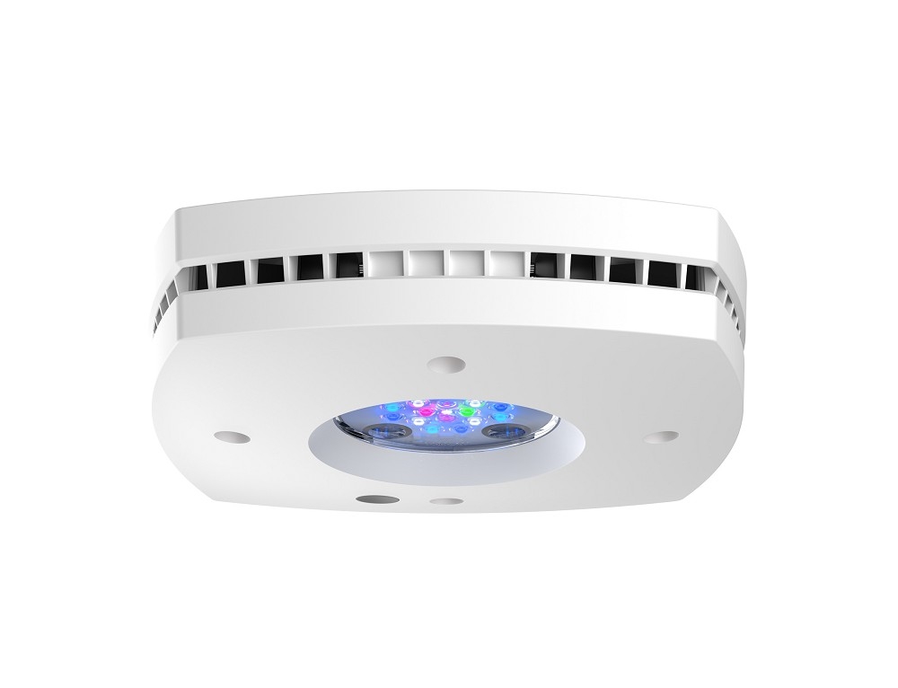 AI Prime 16HD  Meerwasser 