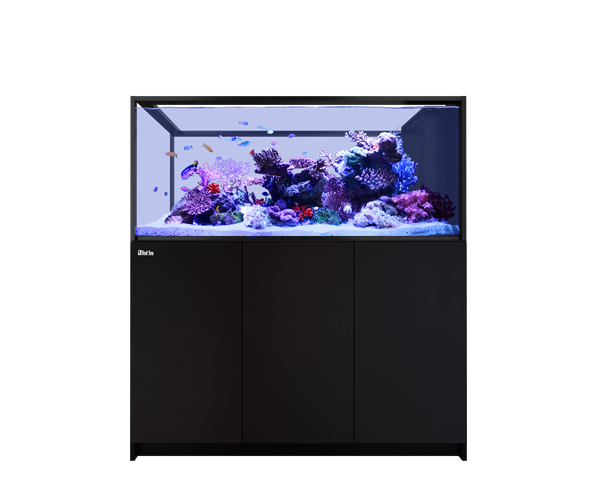 Red Sea REEFER Peninsula G3+ 700 Neu