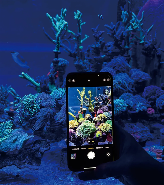 Maxspect TrueReef Filter Lens für IPhones